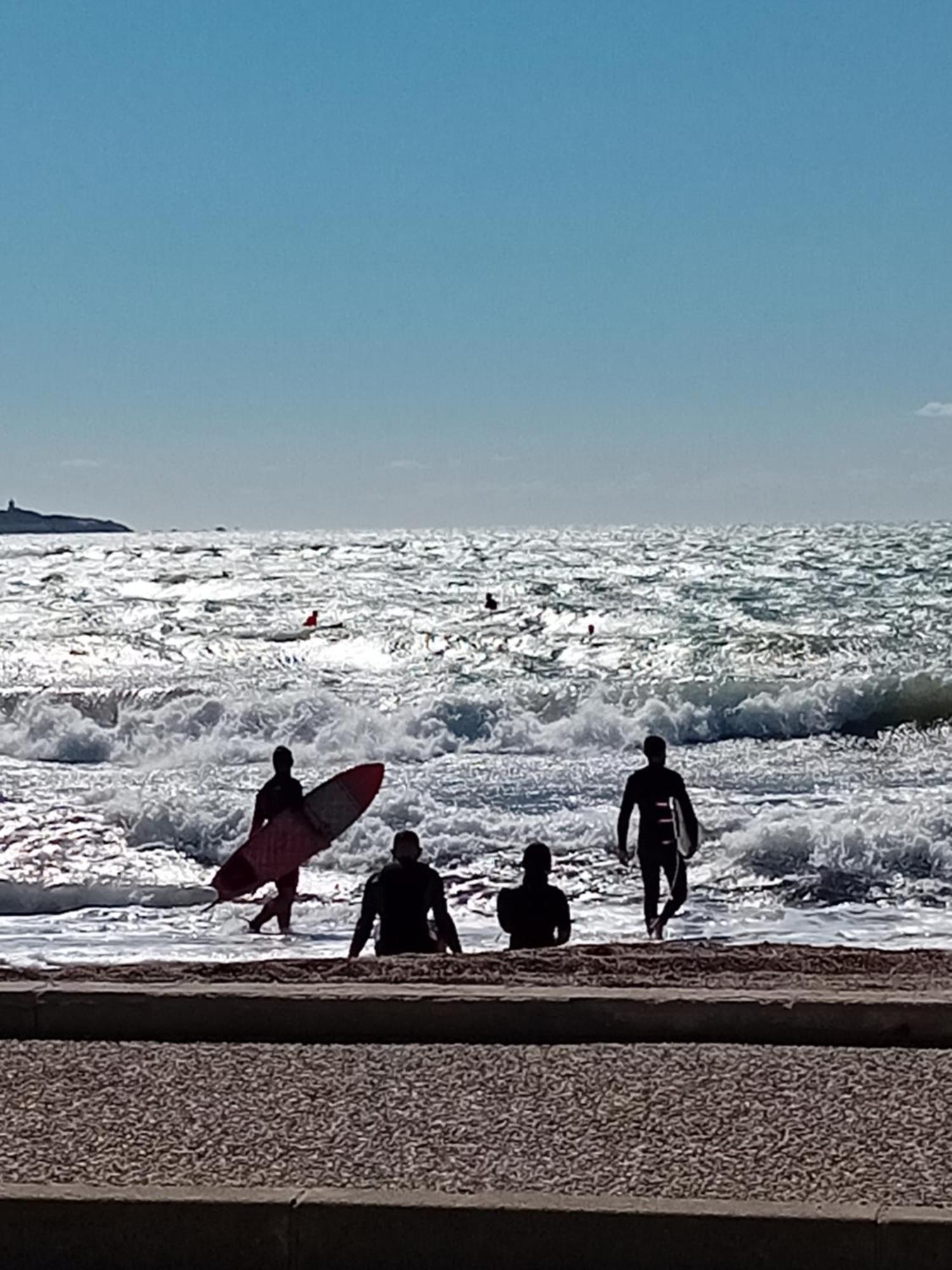 Appartement T2 Avec Piscine A 100 M De La Plage Six-Fours-les-Plages Esterno foto